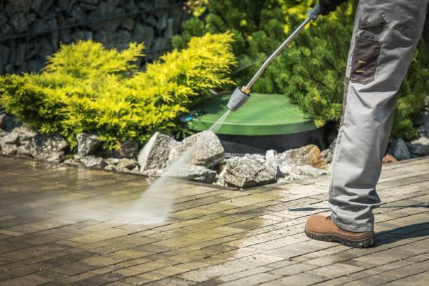 Best Sidewalk and Walkway Cleaning  in Palm River Clair Mel, FL
