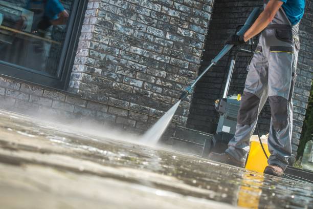 Best Roof Washing  in Palm River Clair Mel, FL