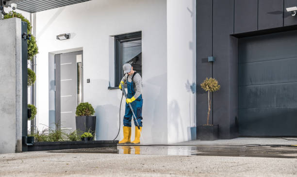Best Building Exterior Washing  in Palm River Clair Mel, FL